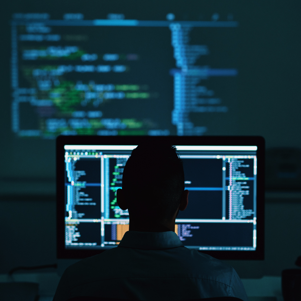 Analyse the data yourself