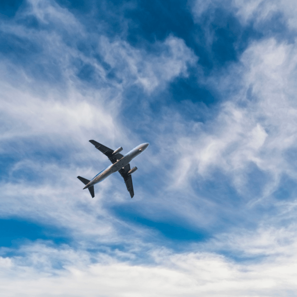 The Effect of a Trump Presidency on International Travel to the US