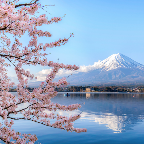 Country Economic Forecast