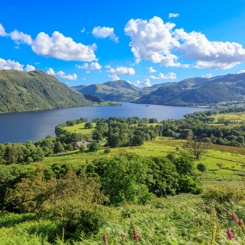 我们的服务优势