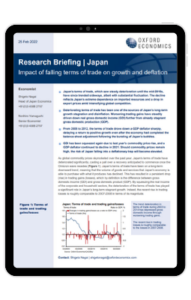 report - Japan - Impact of falling terms of trade on growth and deflation
