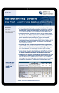 Ipad Frame - Eurozone-ECB-Watch-A-controversial-debate-on-inflation-looms