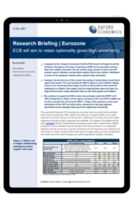 Ipad Frame - Eurozone-ECB-will-aim-to-retain-optionality-given-high-uncertainty