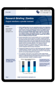 cover image of the research briefing