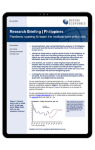 image of the research briefing
