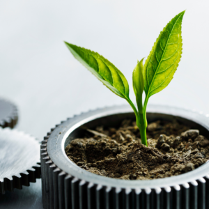 Global Sustainability Model