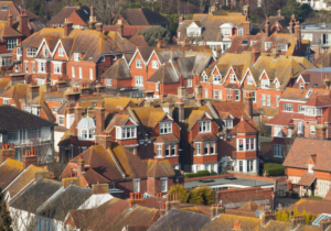 How can demographic trends inform local investment needs and priorities?