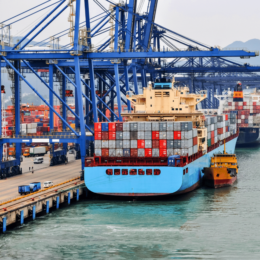 全球情景： 供应链危机