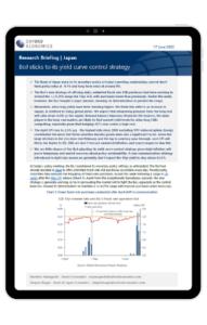 BoJ sticks to its yield curve control strategy