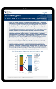 A holistic view of Africa's role in combating climate change