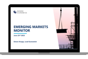 Emerging Markets Monitor: