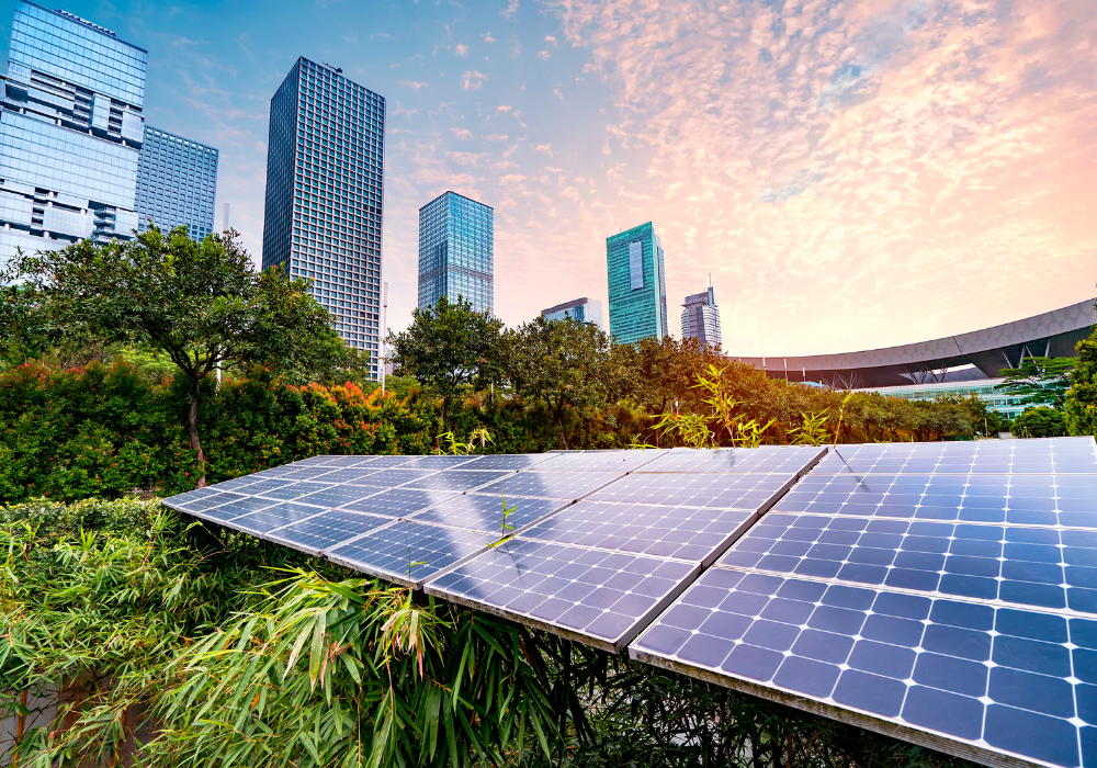 了解我们如何帮助您管理可持续发展和气候相关风险以及披露要求