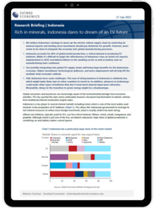 Rich in minerals, Indonesia dares to dream of an EV future