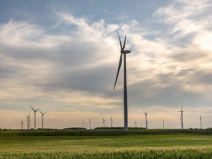 Is Africa’s fiscal effort sufficient to restore debt sustainability?