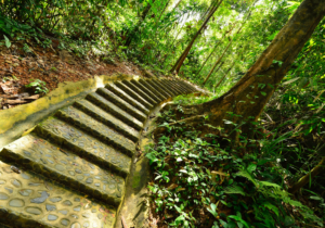 COP28 – Incremental but not transformative