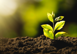 Understanding business sustainability in the context of environmental thresholds