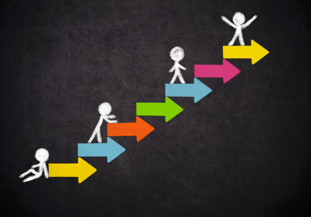 Identify the winners and losers