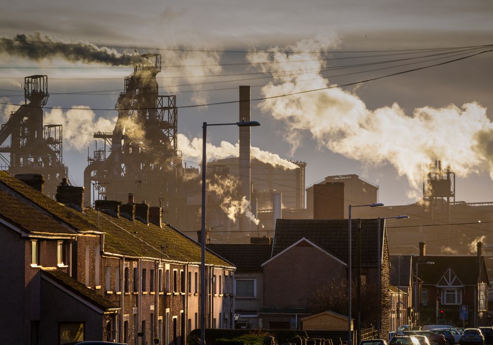 Assess policy decisions 