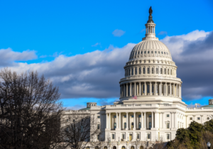 Prospects for policymaking in a divided government