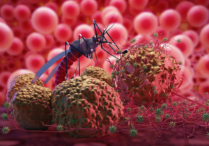 The Malaria ‘Dividend’: Why Investing In Malaria Elimination Creates Returns For All