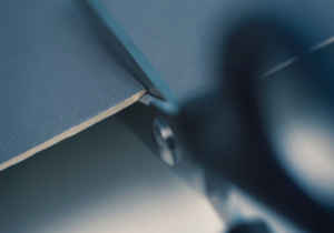 Growth forecasts trimmed on review of Trump 2.0 impact