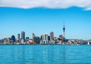 New Zealand Construction Market Analysis