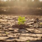 Credibility Gap in Climate Policy