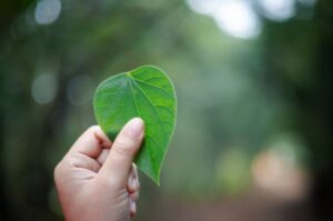 Common Australian Sustainability Reporting Standards (ASRS) pitfalls and how to avoid them