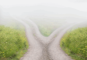 Bifurcated – State of US consumer depends on whom you ask