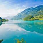 Advanced economy leadership is key to the low-carbon transition