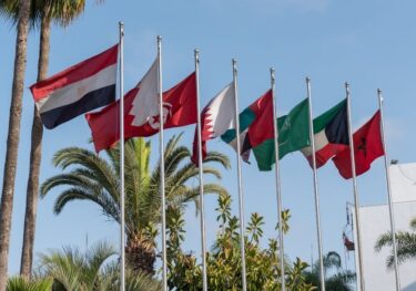 Flags of MENA (Middle East and North Africa)