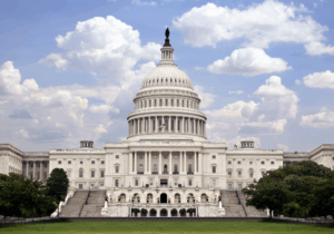 This year’s US midterms add to an uncertain policy outlook