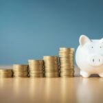 High Emerging Market savings rates will have global impact for decades