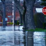 Short-term climate shocks drive sector divergence