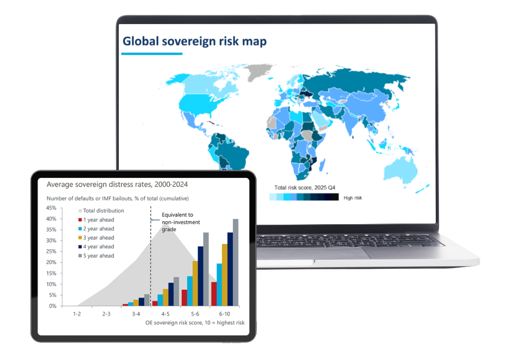 Global risk services-risk score dashboard